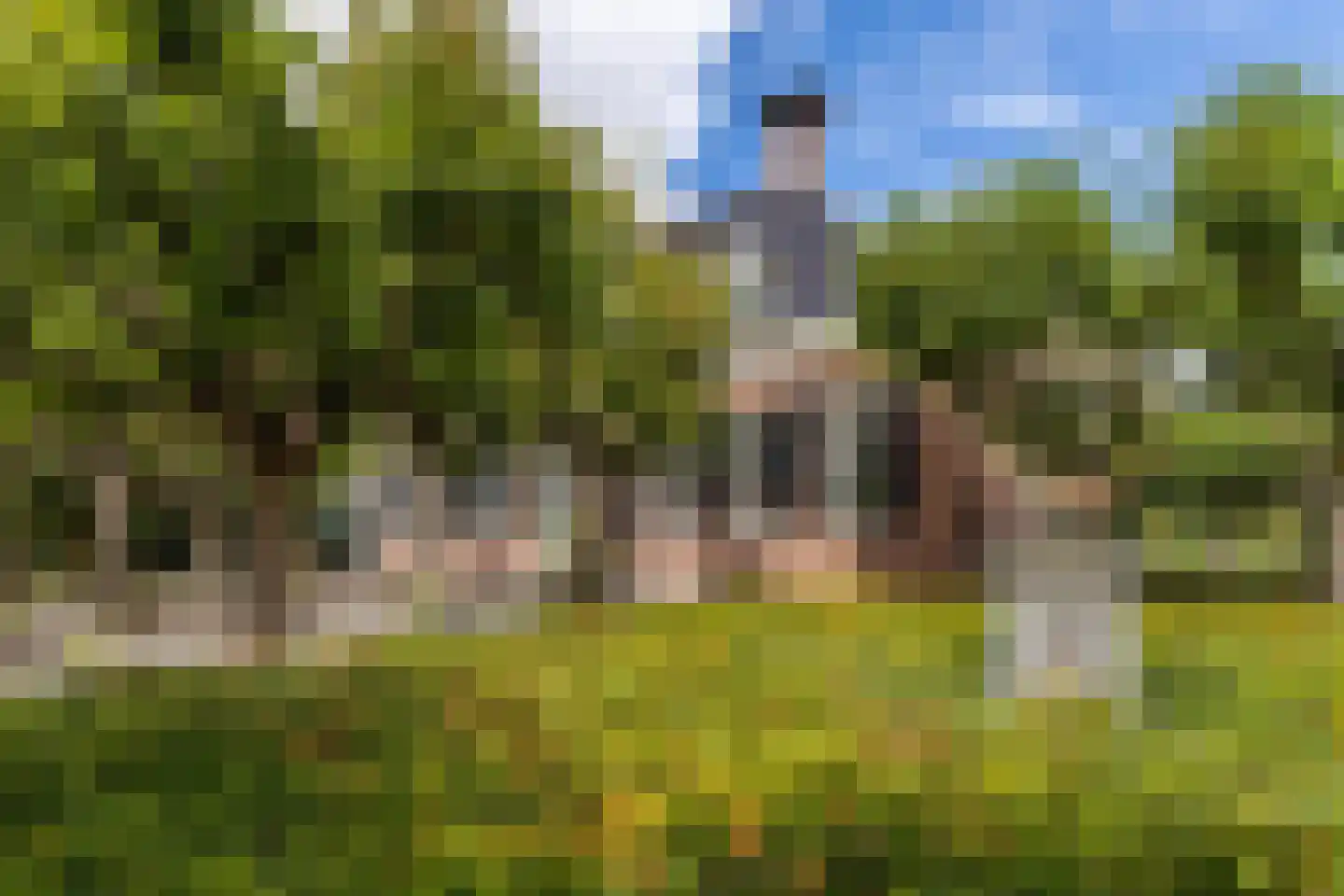 Zwet 13 Delfzijl thumbnail 18