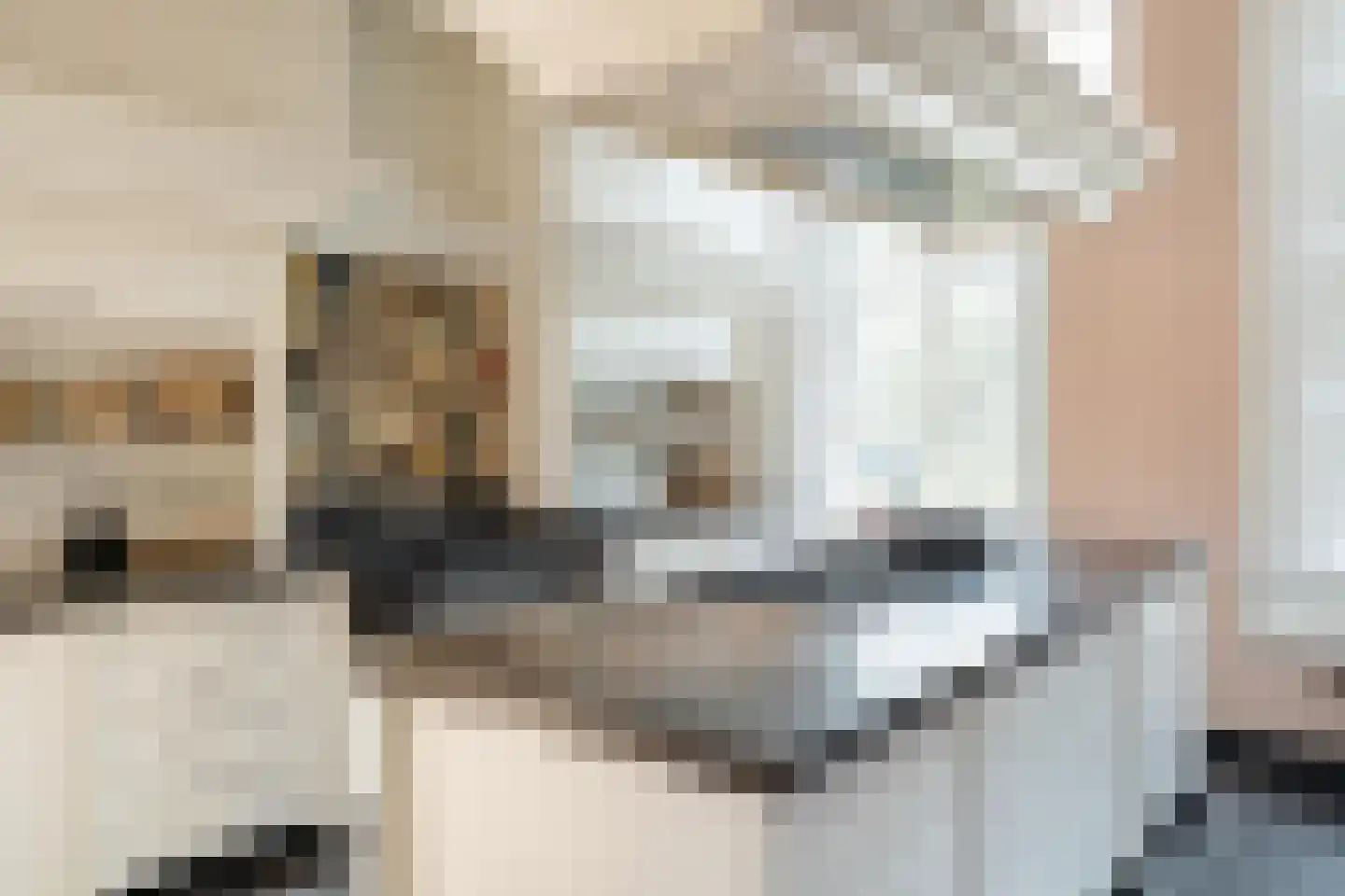 Zwet 13 Delfzijl thumbnail 27