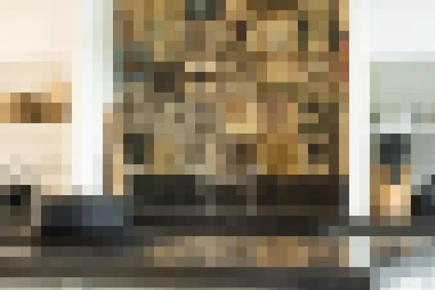 Zwet 13 Delfzijl thumbnail 31