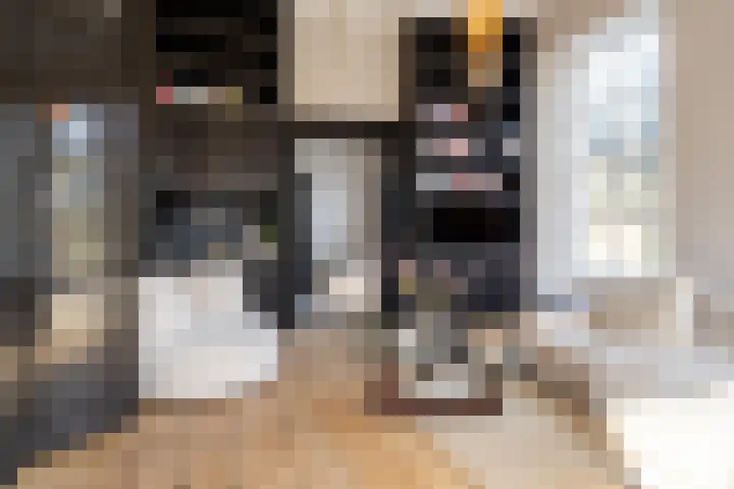 Zwet 13 Delfzijl thumbnail 41
