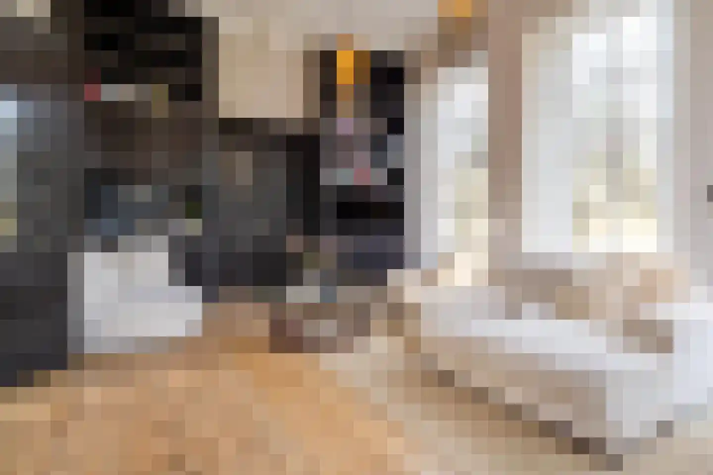 Zwet 13 Delfzijl thumbnail 45
