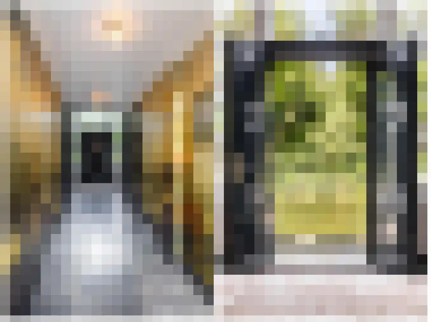 Zwet 13 Delfzijl thumbnail 46