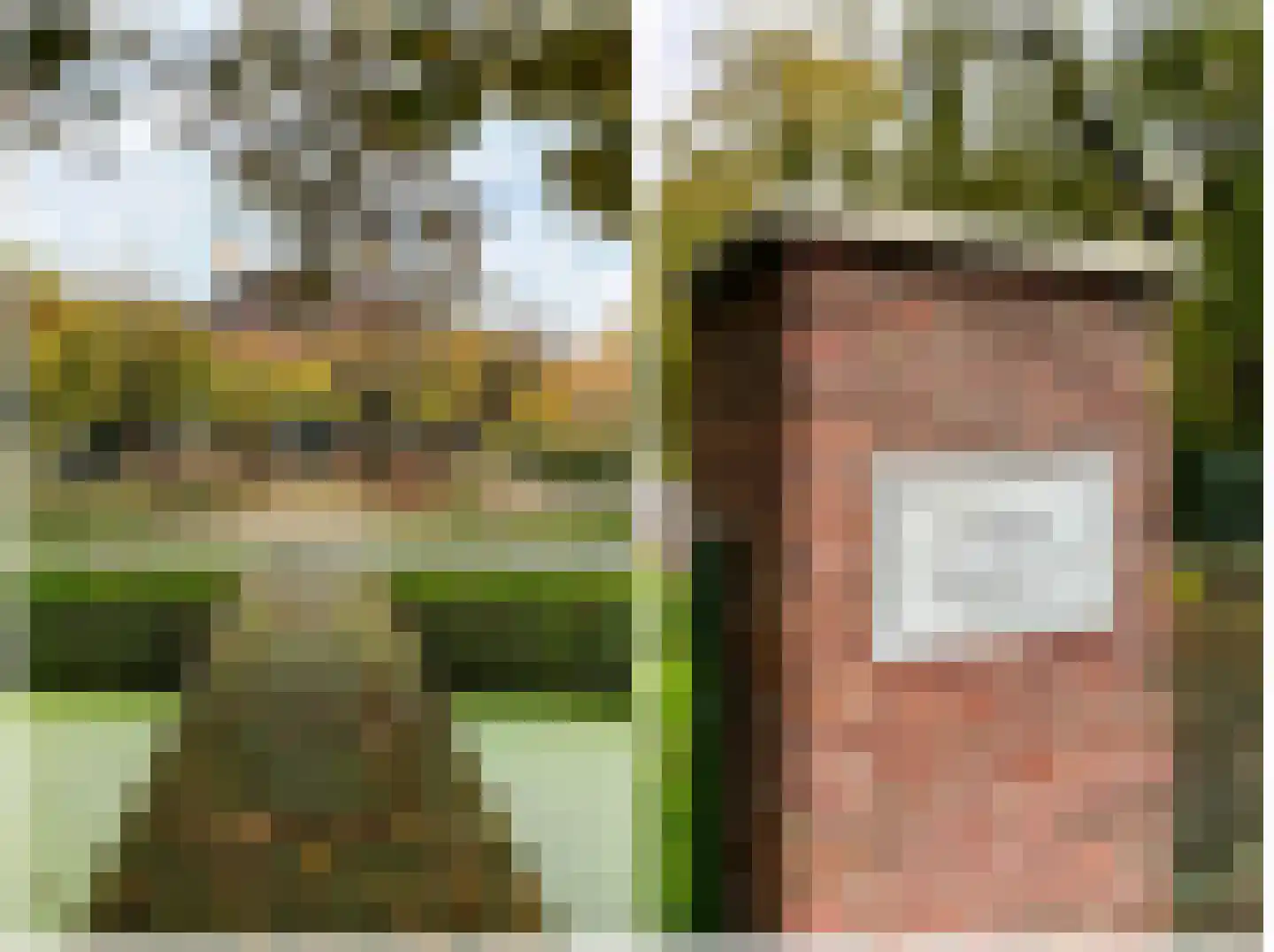 Zwet 13 Delfzijl thumbnail 5