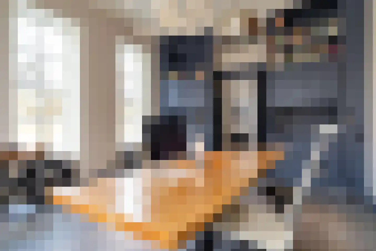 Zwet 13 Delfzijl thumbnail 55