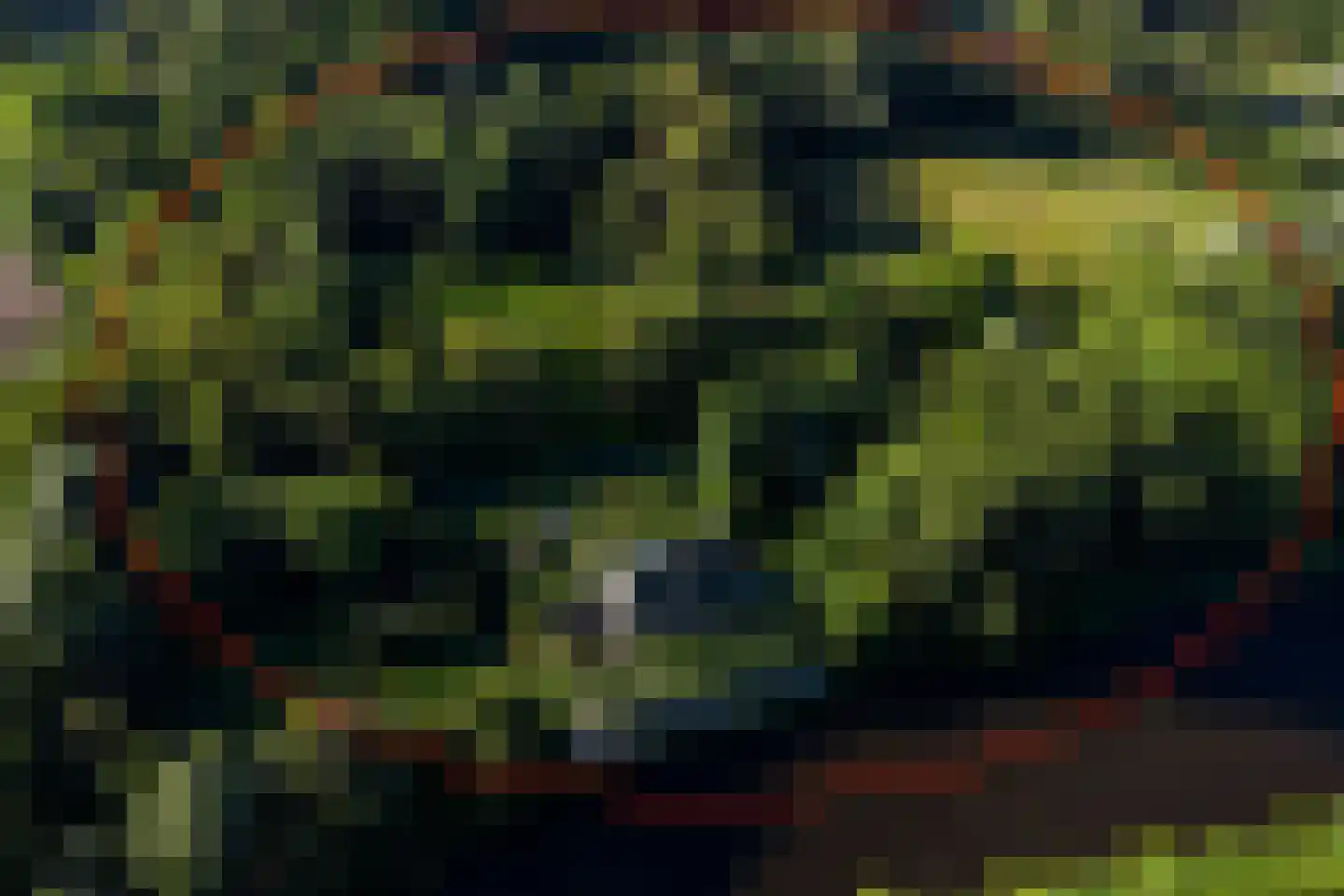 Zwet 13 Delfzijl thumbnail 6