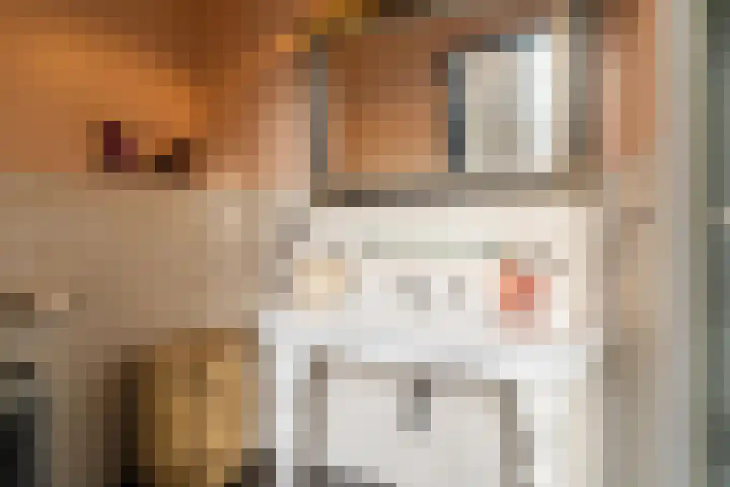Zwet 13 Delfzijl thumbnail 62