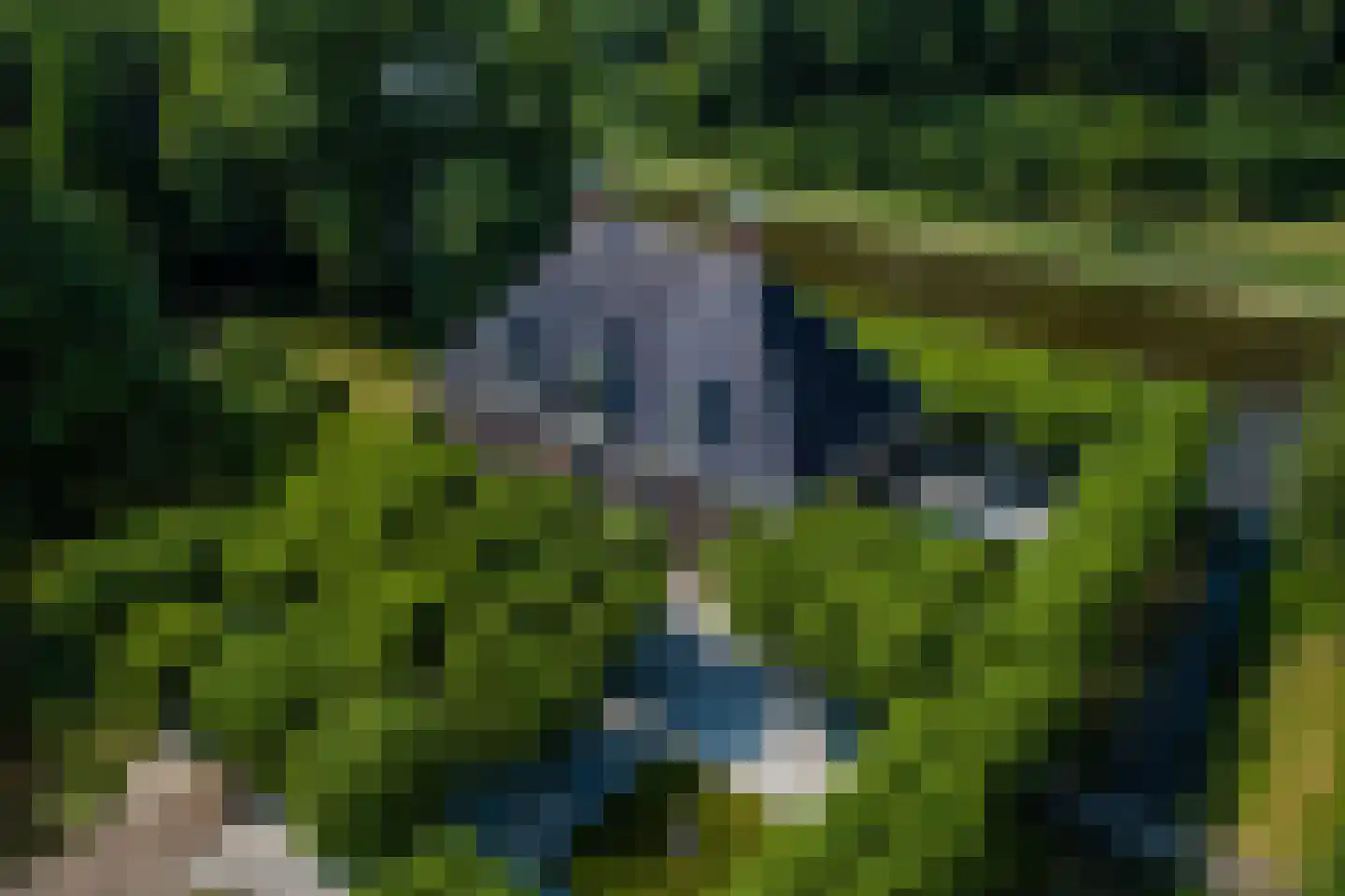Zwet 13 Delfzijl thumbnail 7