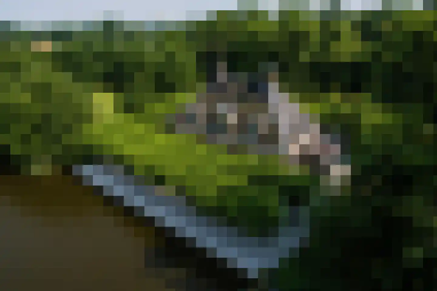 Zwet 13 Delfzijl thumbnail 8