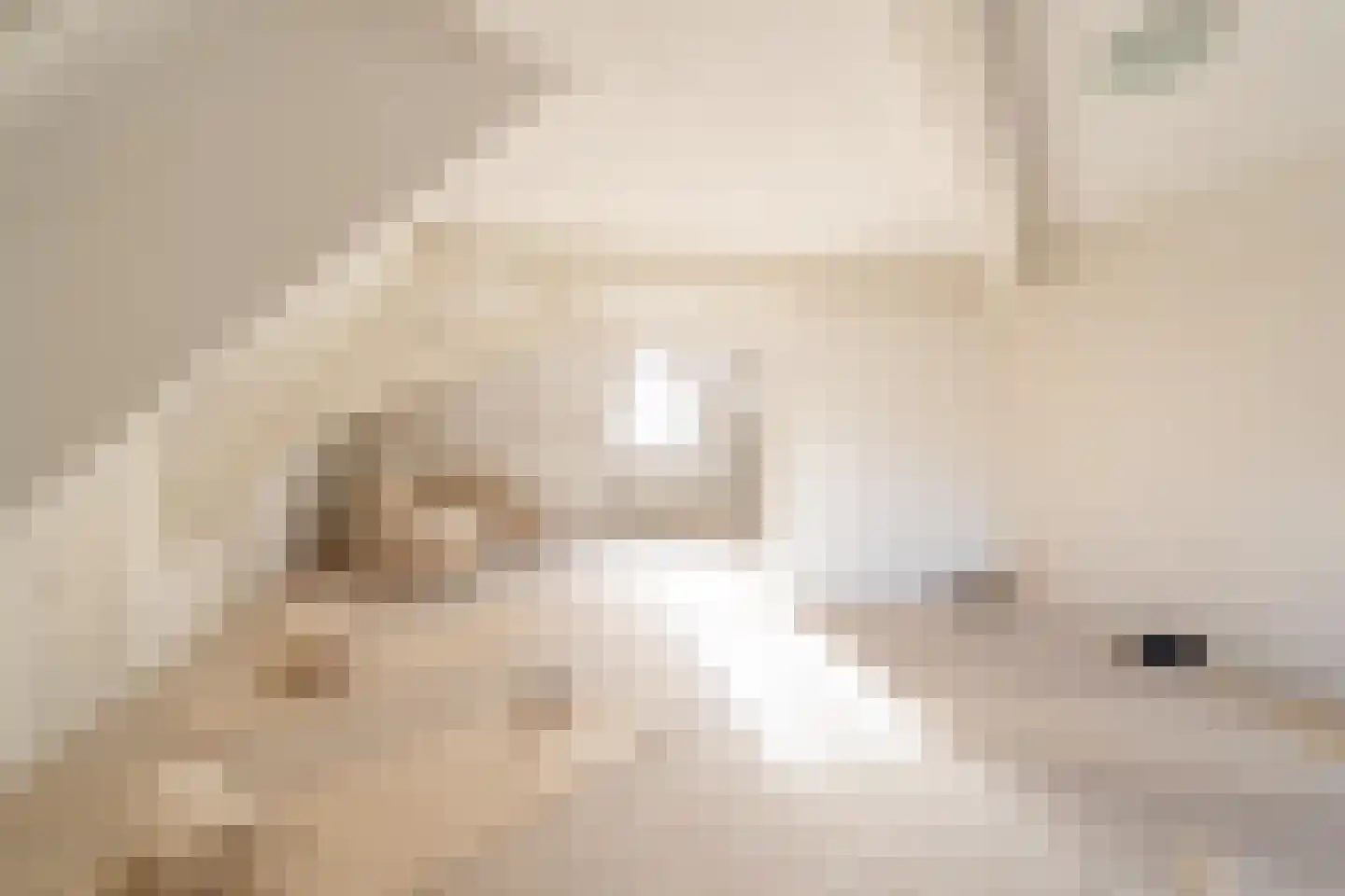 Zwet 13 Delfzijl thumbnail 81
