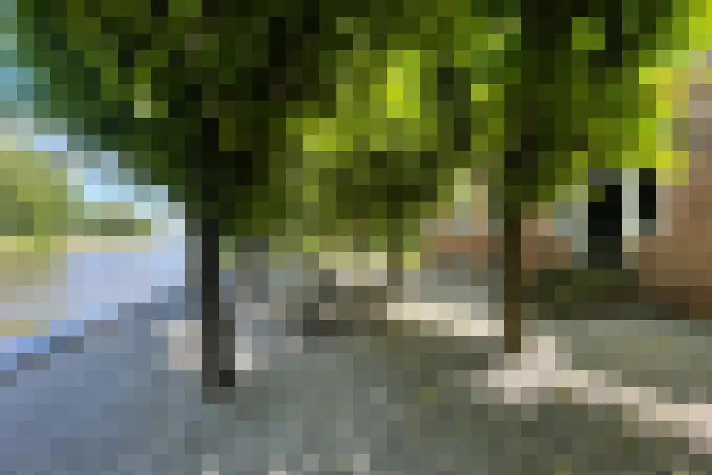 Zwet 13 Delfzijl thumbnail 85
