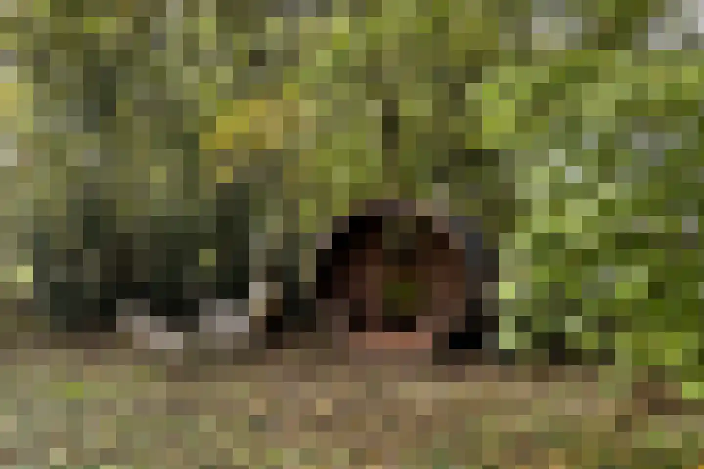 Zwet 13 Delfzijl thumbnail 86