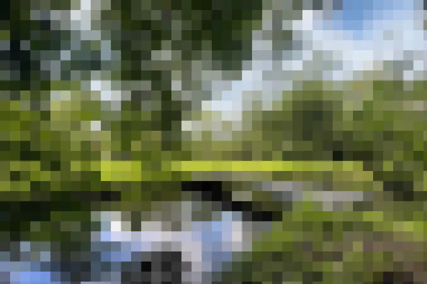 Zwet 13 Delfzijl thumbnail 87