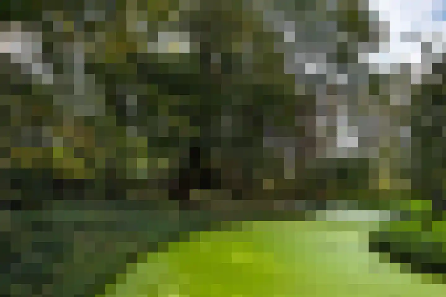 Zwet 13 Delfzijl thumbnail 89