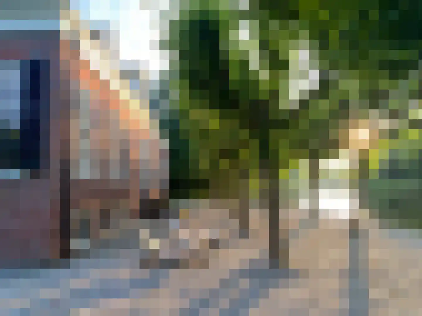 Zwet 13 Delfzijl thumbnail 9