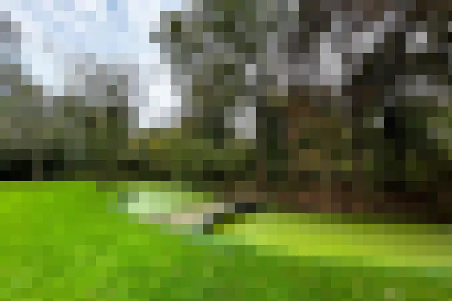 Zwet 13 Delfzijl thumbnail 90