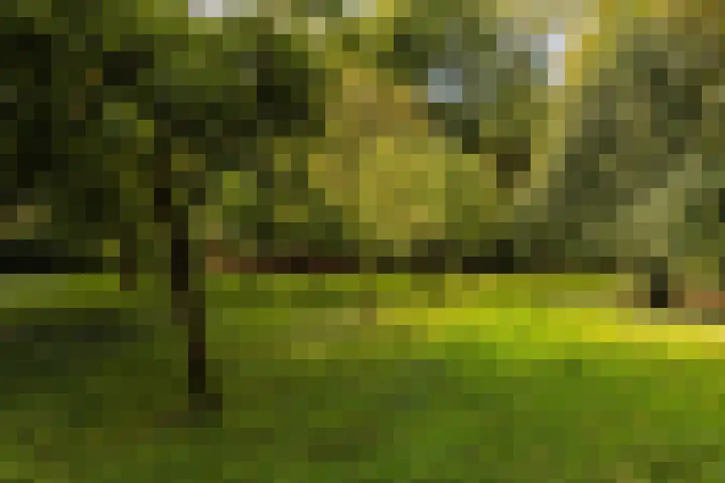 Zwet 13 Delfzijl thumbnail 91