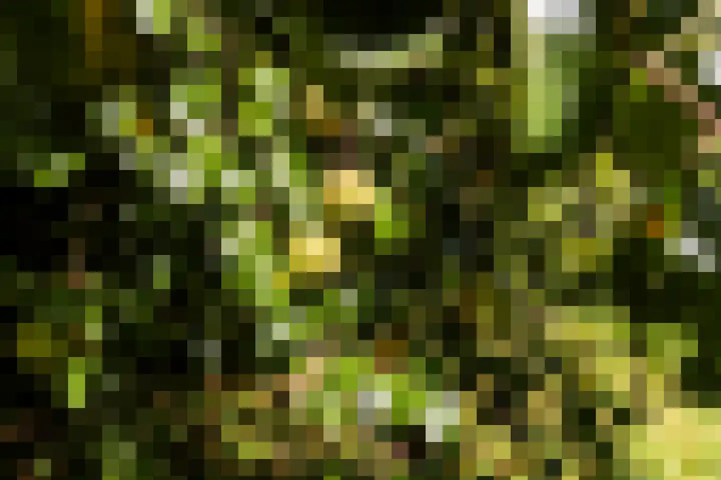 Zwet 13 Delfzijl thumbnail 92