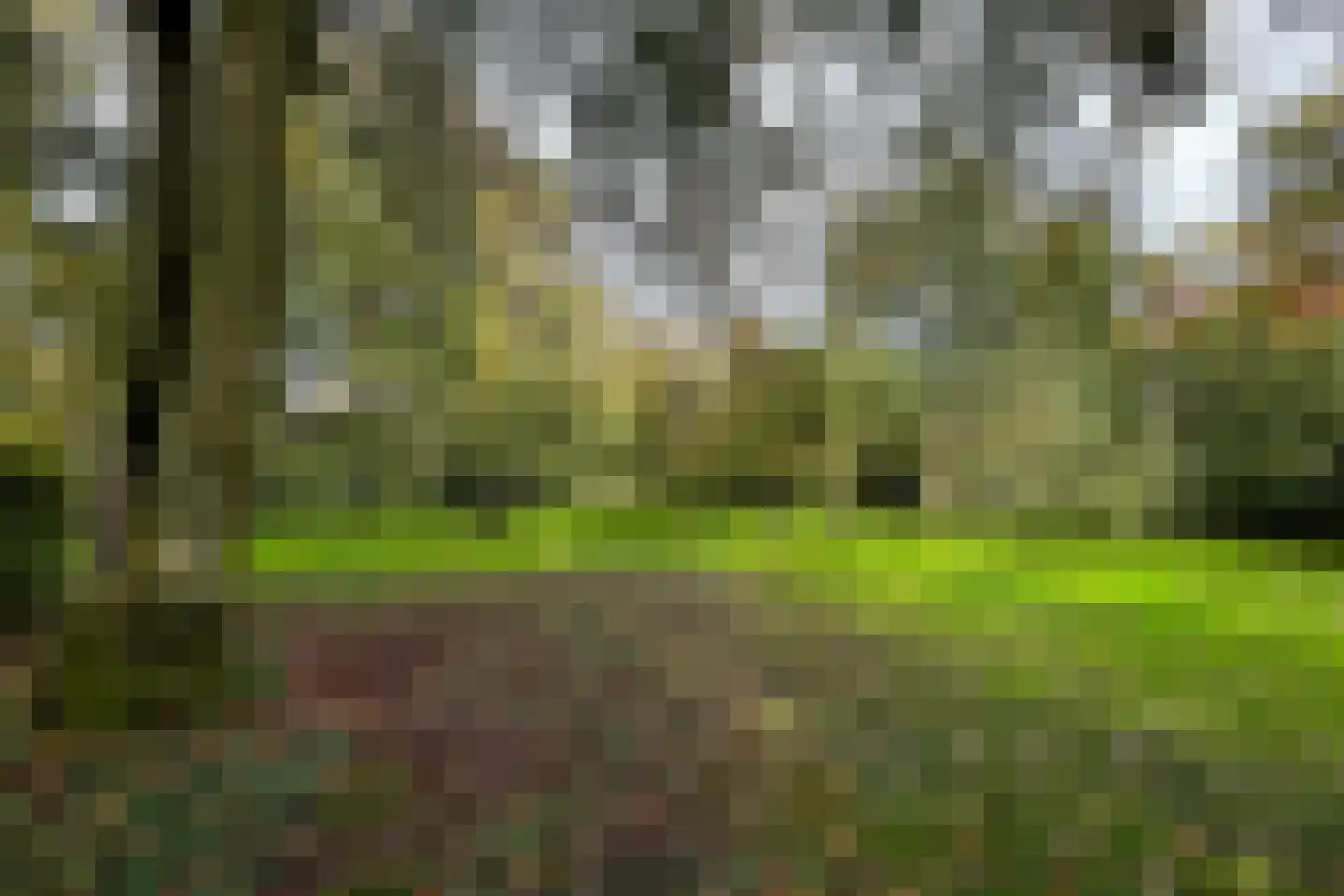 Zwet 13 Delfzijl thumbnail 93