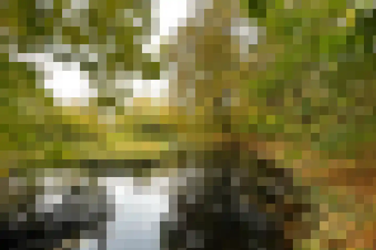 Zwet 13 Delfzijl thumbnail 96