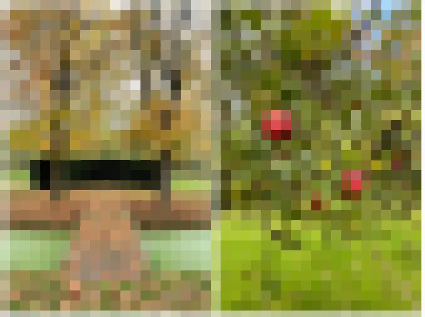 Zwet 13 Delfzijl thumbnail 97