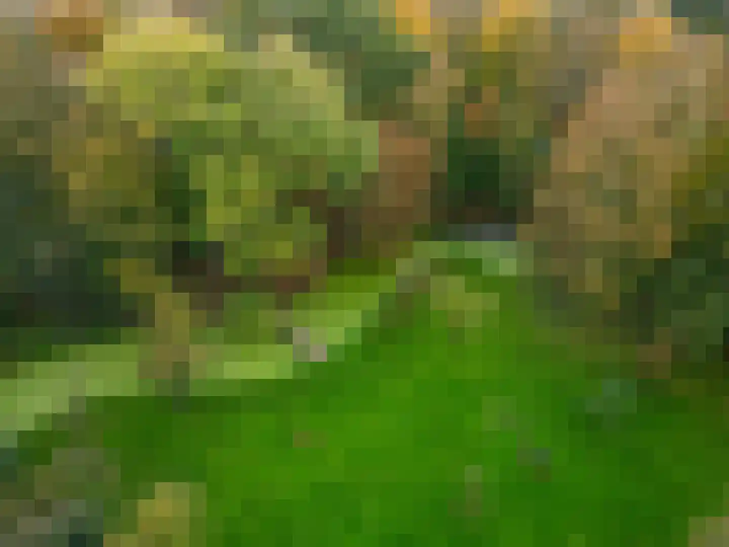 Zwet 13 Delfzijl thumbnail 98
