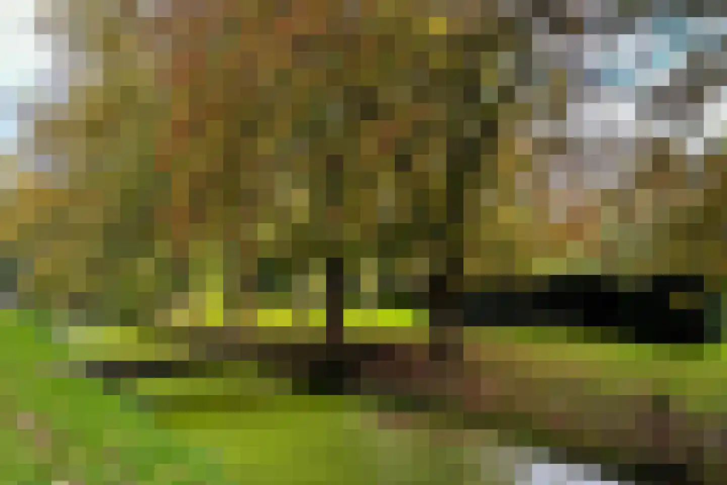 Zwet 13 Delfzijl thumbnail 99