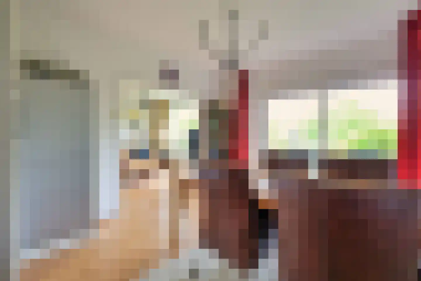 Zwet 2 A Bergen (NH) thumbnail 10