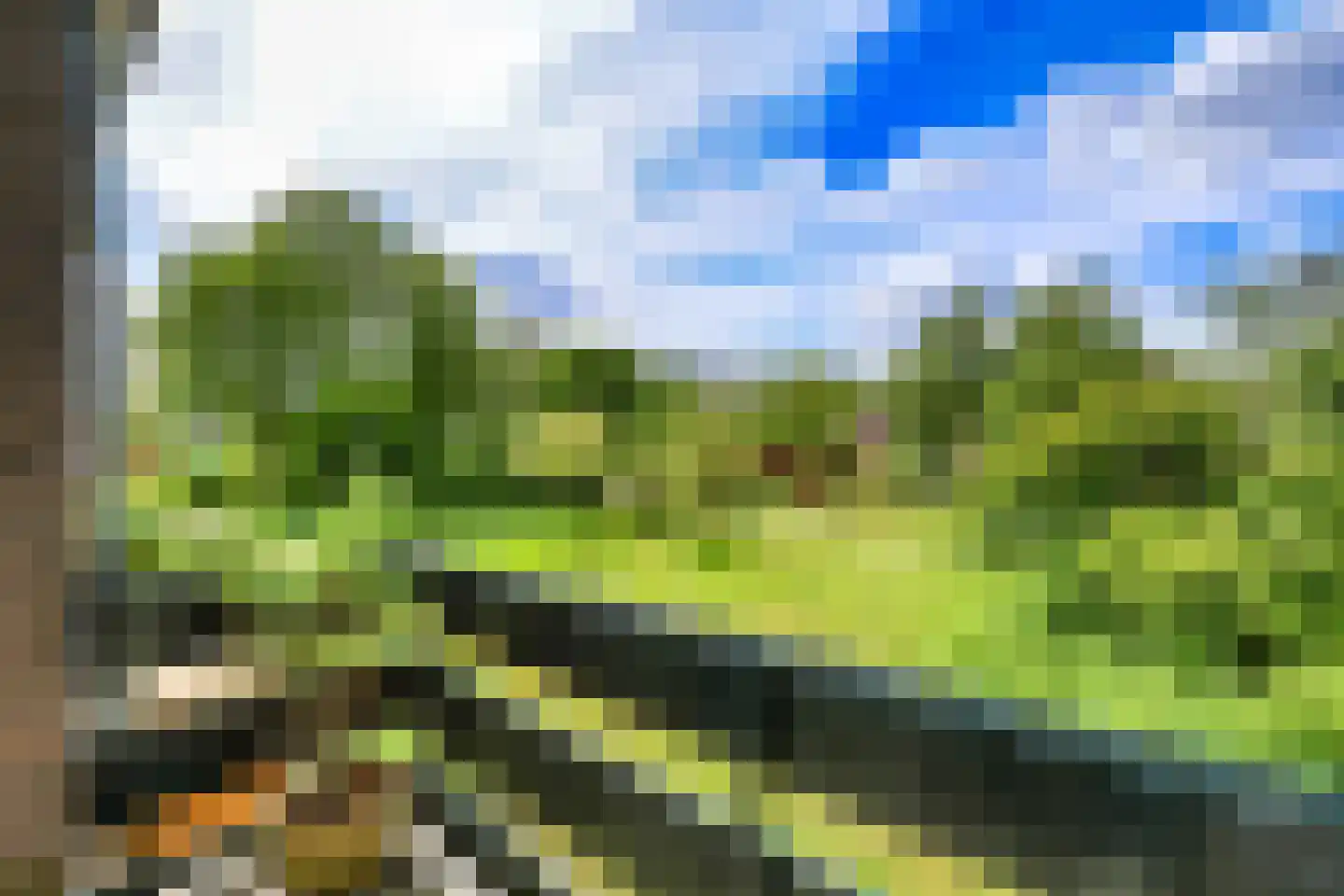 Zwet 2 A Bergen (NH) thumbnail 12