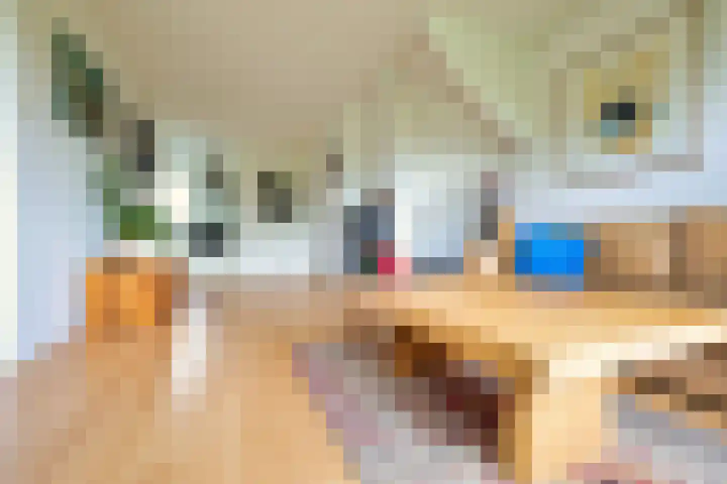 Zwet 2 A Bergen (NH) thumbnail 13