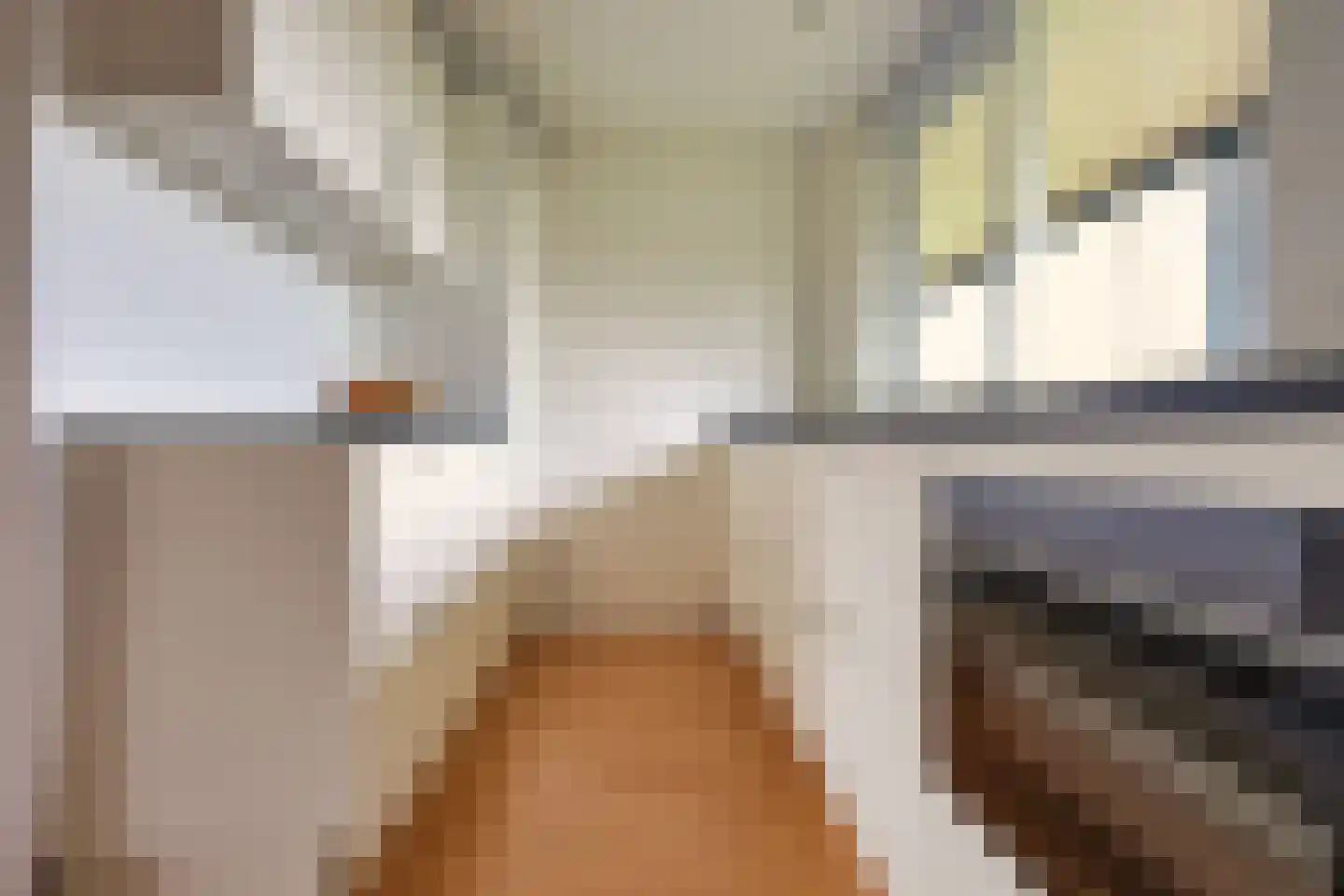Zwet 2 A Bergen (NH) thumbnail 15