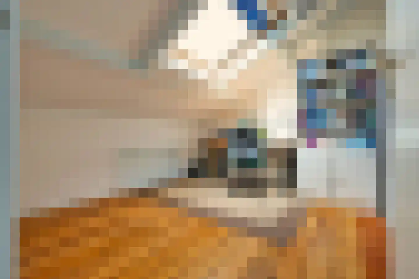 Zwet 2 A Bergen (NH) thumbnail 24