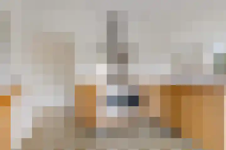 Zwet 4 A Bergen (NH) thumbnail 10