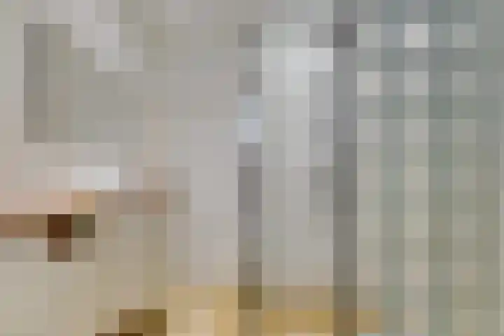 Zwet 4 A Bergen (NH) thumbnail 20