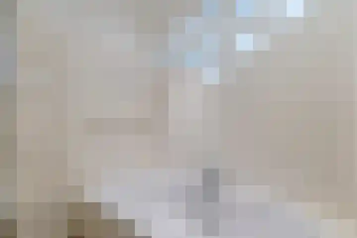 Zwet 4 A Bergen (NH) thumbnail 22