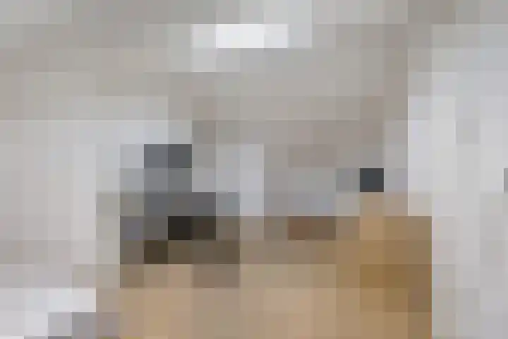 Zwet 4 A Bergen (NH) thumbnail 29