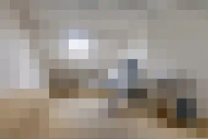 Zwet 4 A Bergen (NH) thumbnail 30