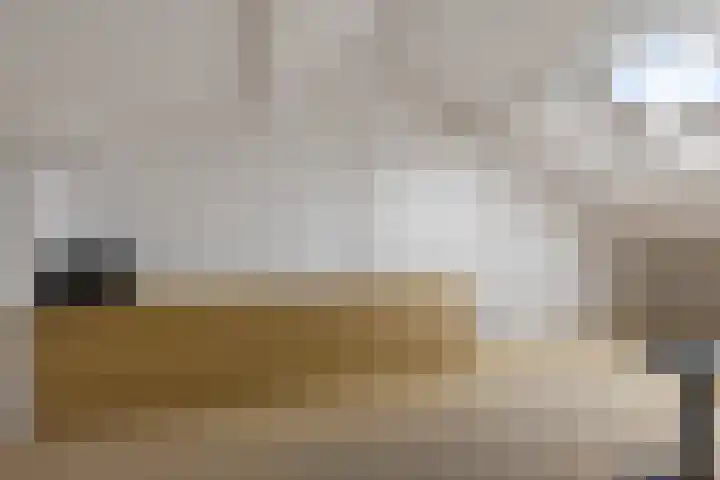 Zwet 4 A Bergen (NH) thumbnail 31