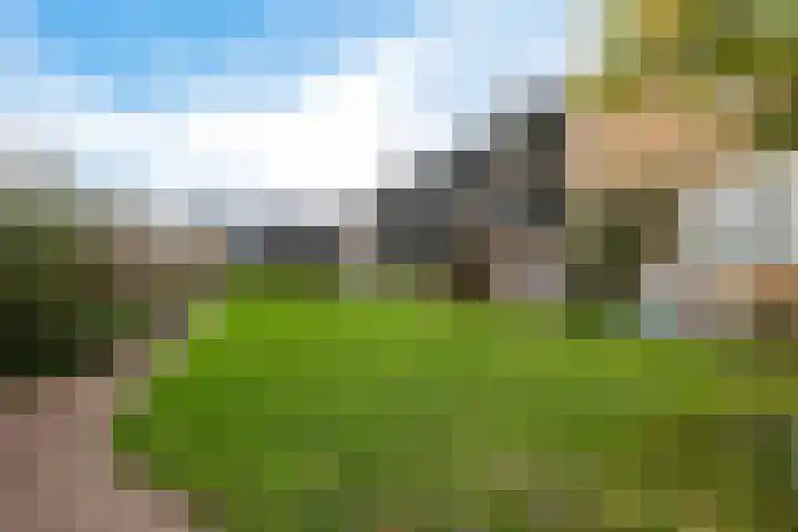 Zwet 4 A Bergen (NH) thumbnail 35