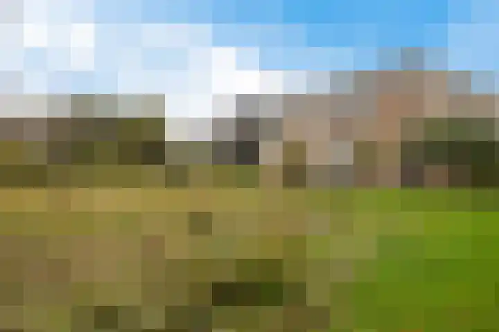 Zwet 4 A Bergen (NH) thumbnail 36
