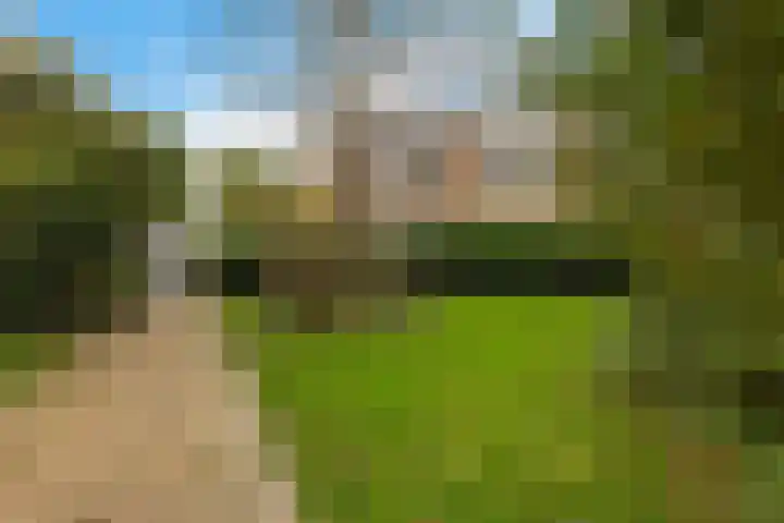 Zwet 4 A Bergen (NH) thumbnail 37