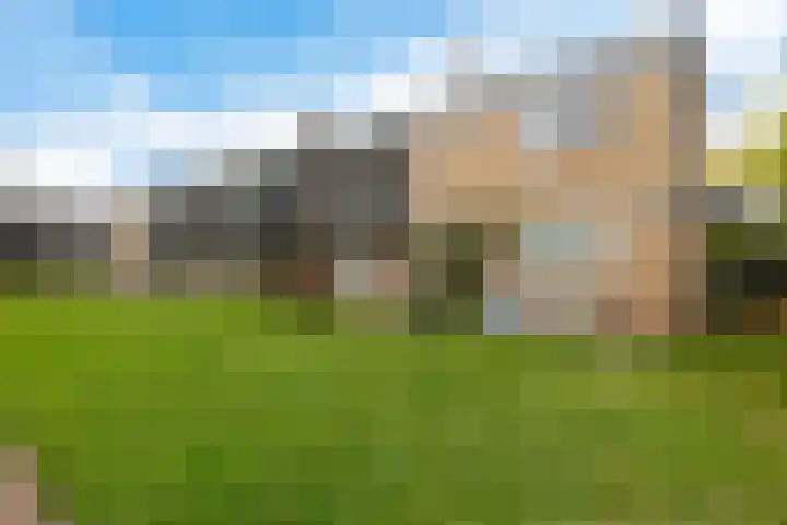 Zwet 4 A Bergen (NH) thumbnail 38