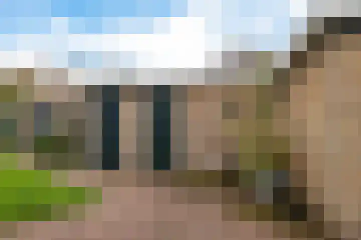Zwet 4 A Bergen (NH) thumbnail 39