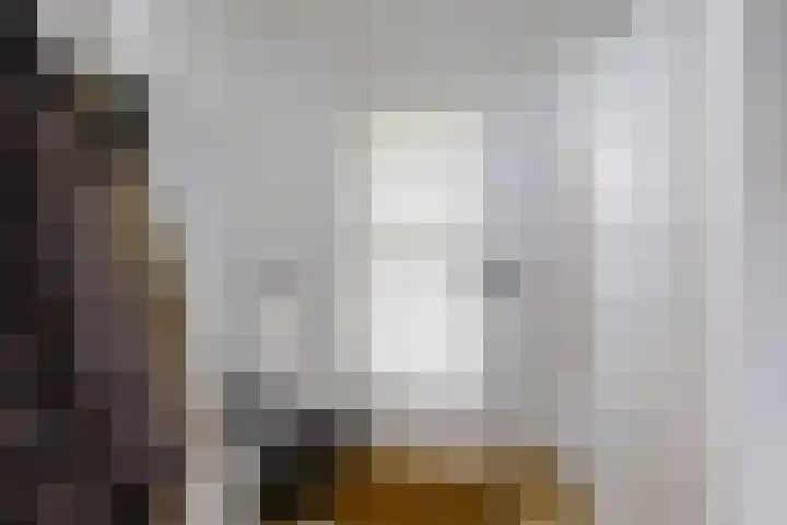 Zwet 4 A Bergen (NH) thumbnail 5