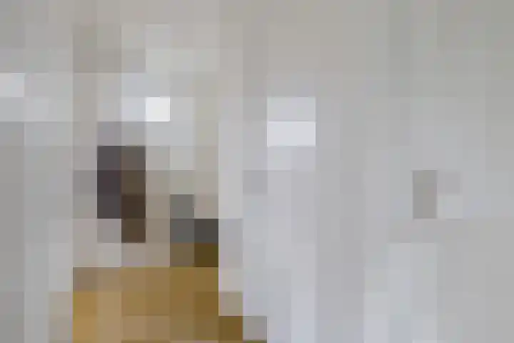 Zwet 4 A Bergen (NH) thumbnail 6