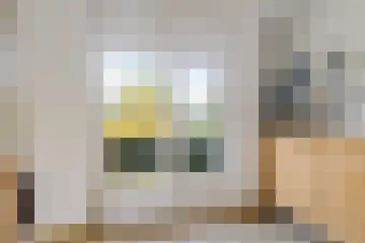 Zwet 4 A Bergen (NH) thumbnail 8