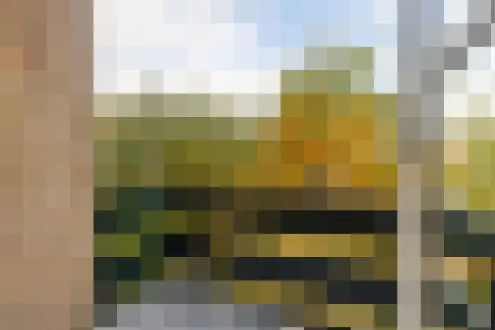 Zwet 4 A Bergen (NH) thumbnail 9