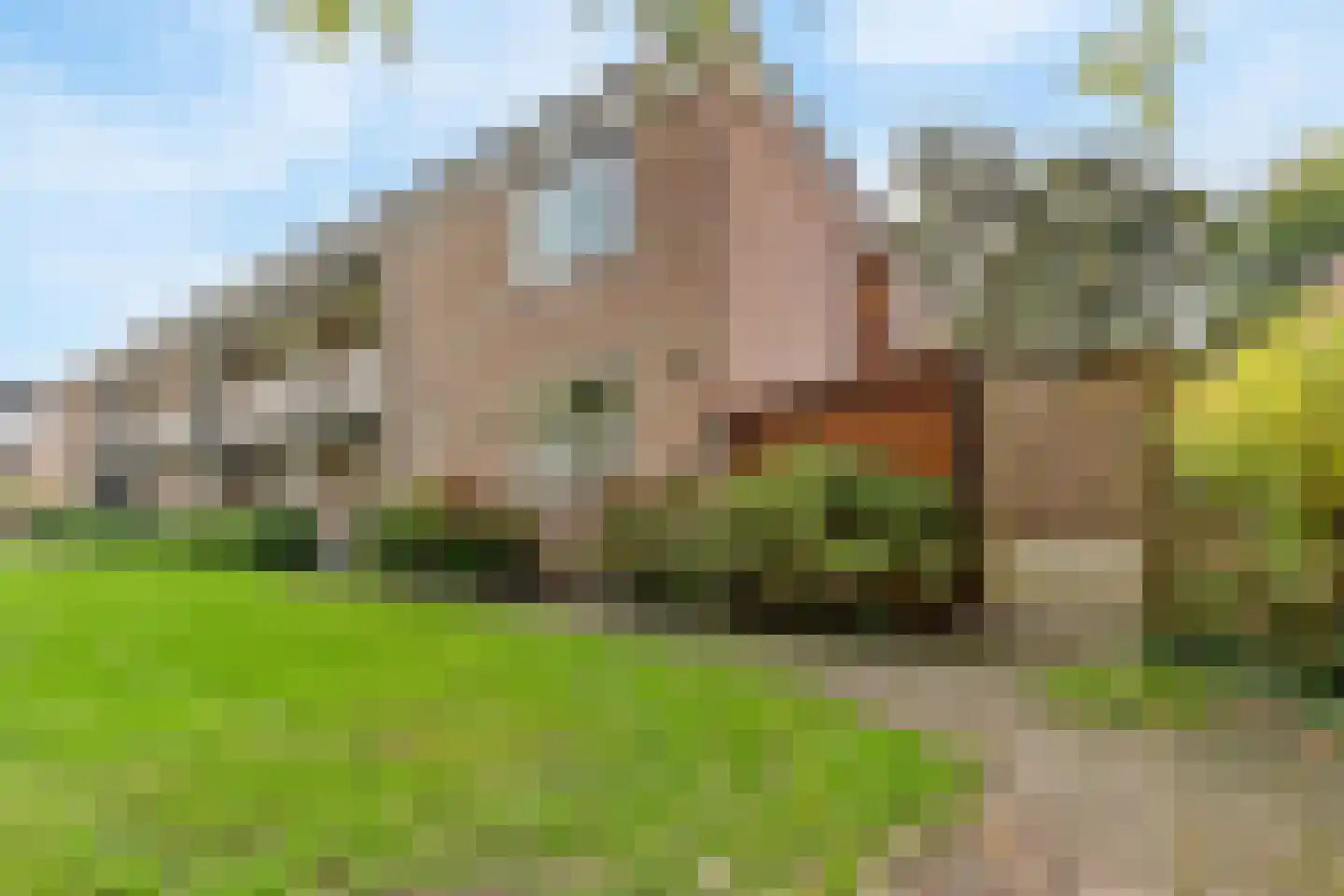 Zwet 8 A Bergen (NH) thumbnail 33