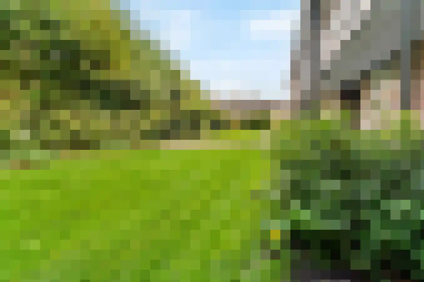 Zwet 8 A Bergen (NH) thumbnail 34