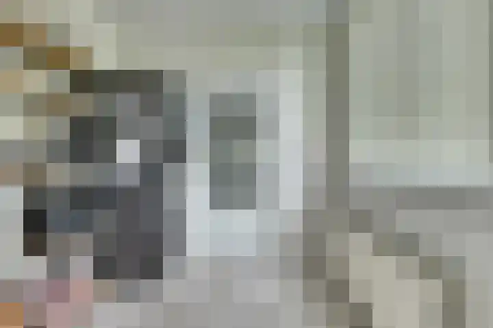 Zwetburgh 52 De Lier thumbnail 16