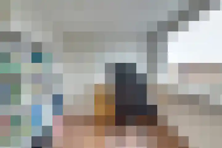 Zwetburgh 52 De Lier thumbnail 30